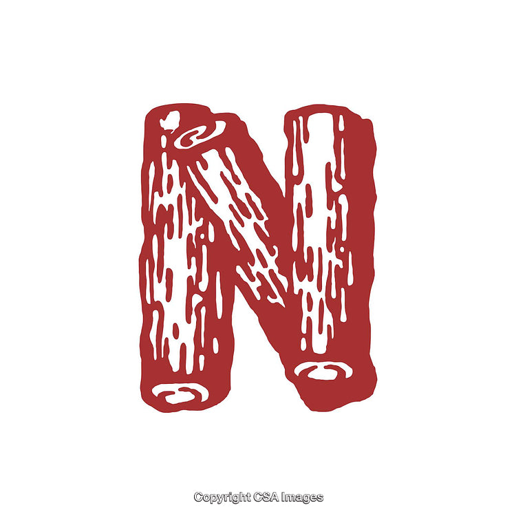 Creative Wood-Styled Letter N Typography Design with Rustic Texture
