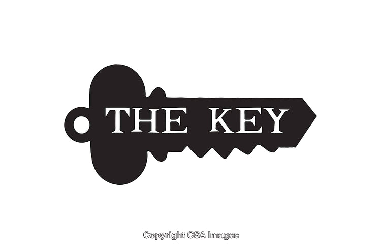 Black And White Key Icon With Bold Text Saying The Key