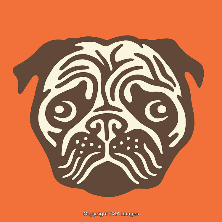 Stylized Line Art of a Pug Dog Head on Orange Background