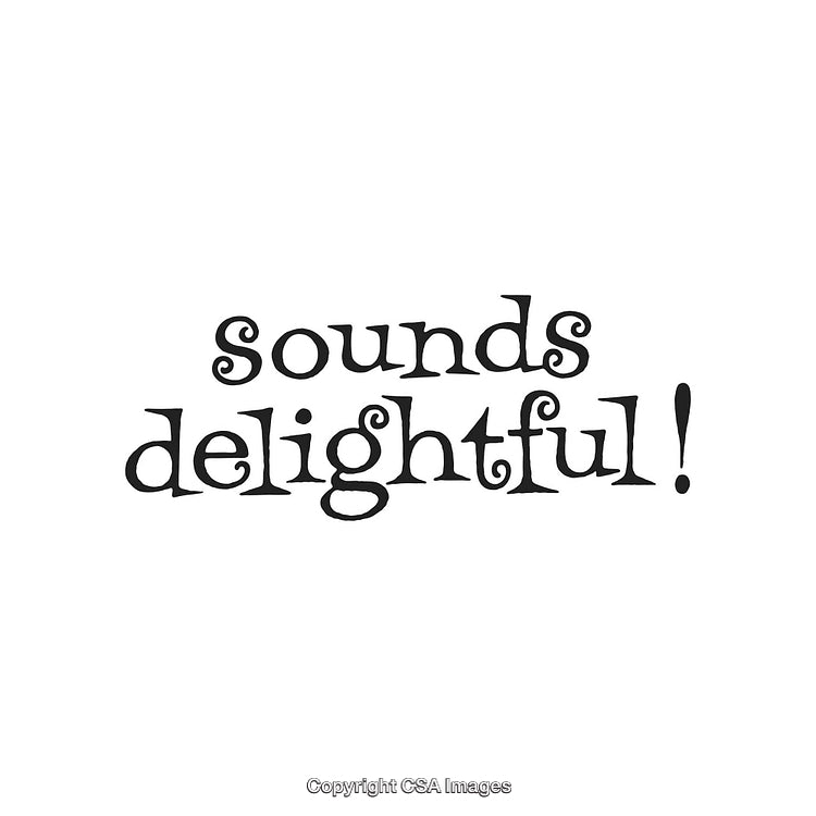Stylized Typography Saying Sounds Delightful in Chic Black Font on White