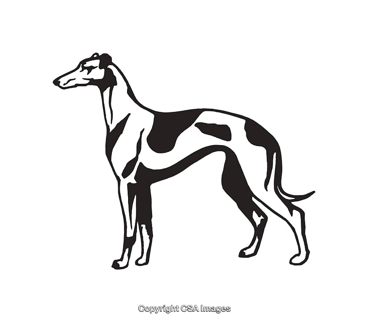 Black and White Line Art Illustration of a Greyhound Dog