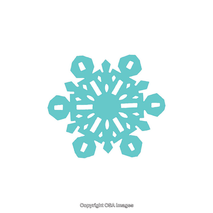Turquoise Snowflake Dingbat Symbol on White Background