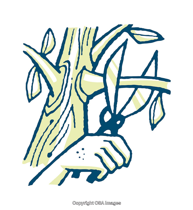 Illustration of Tree Pruning with Hand Holding Garden Shears