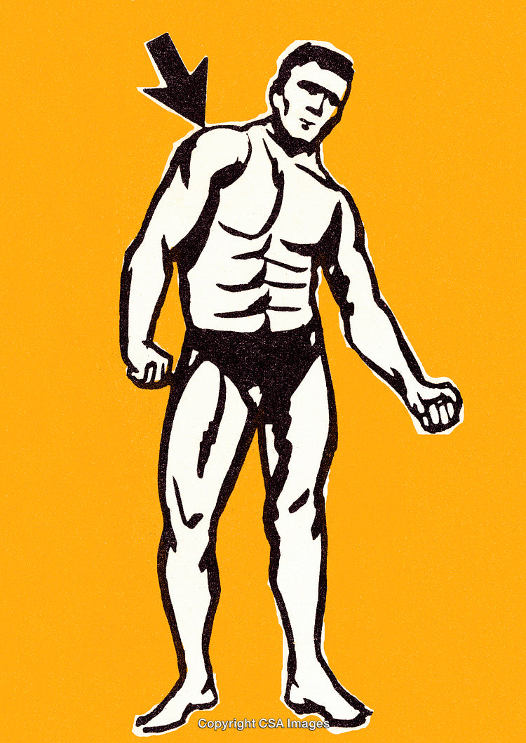 Illustration of Male Bodybuilder Highlighting Muscular Anatomy With Arrow Pointing