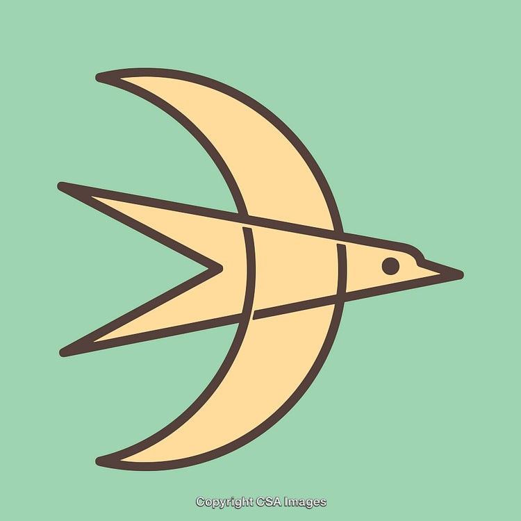 Stylized Art Illustration of Bird with Minimalist Lines on Green Background