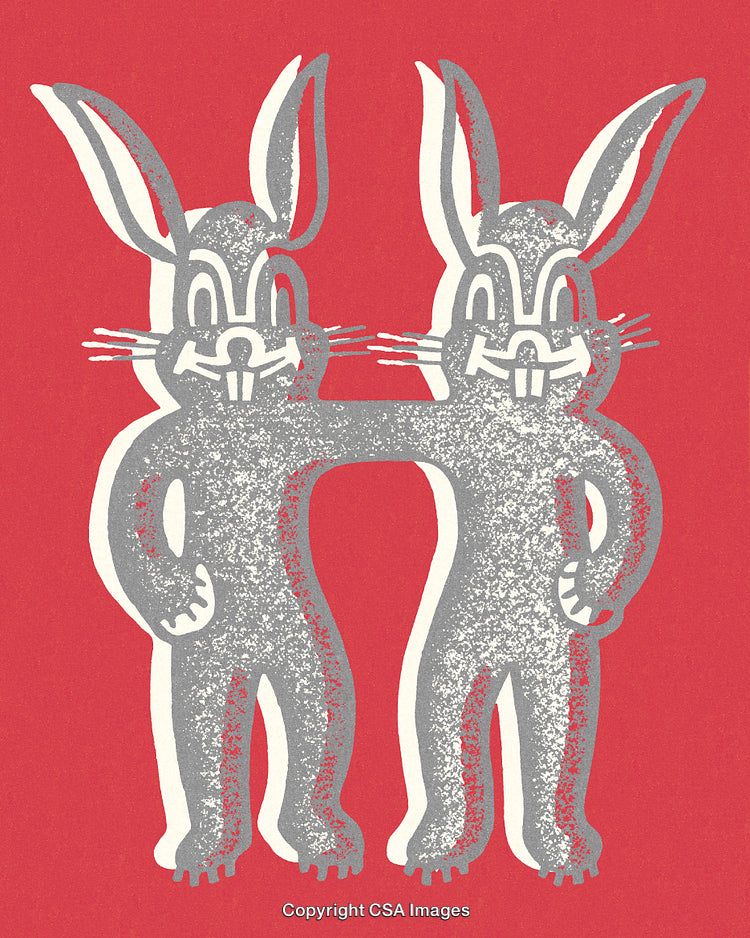 Two Stylized Cartoon Rabbits Embracing on Bold red Background