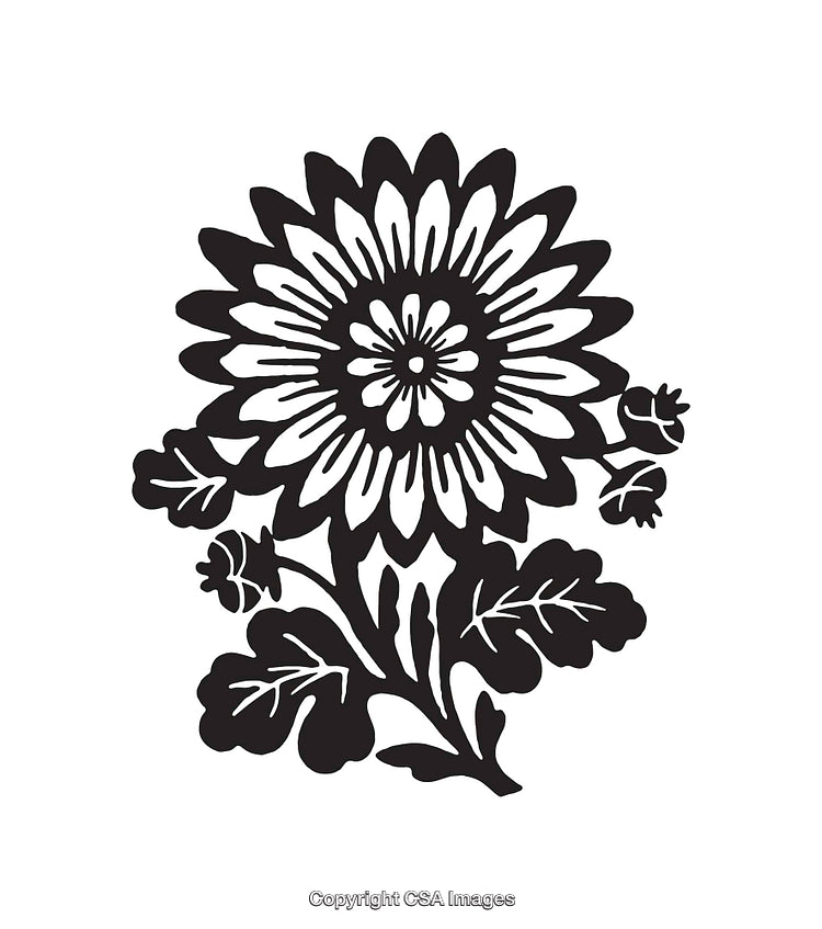 Black and White Line Art of a Decorative Chrysanthemum Flower