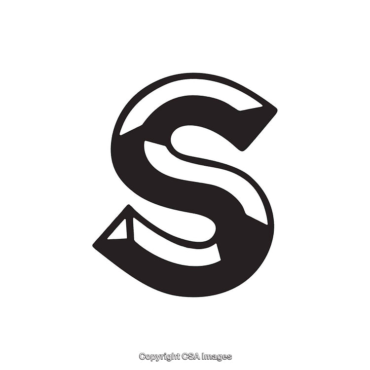 Bold Black Letter S on a White Background