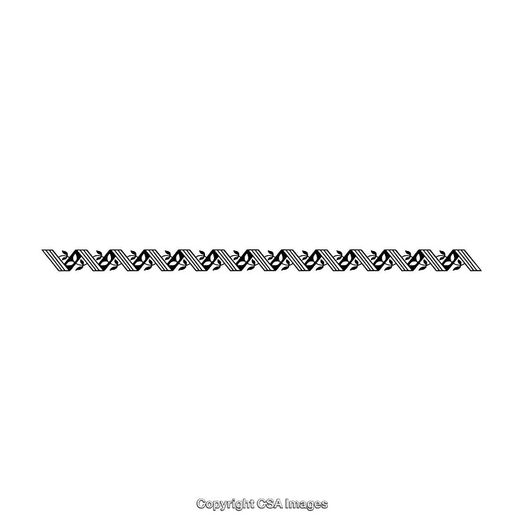 Black and White Decorative Border Pattern with Intricate Ornamental Design