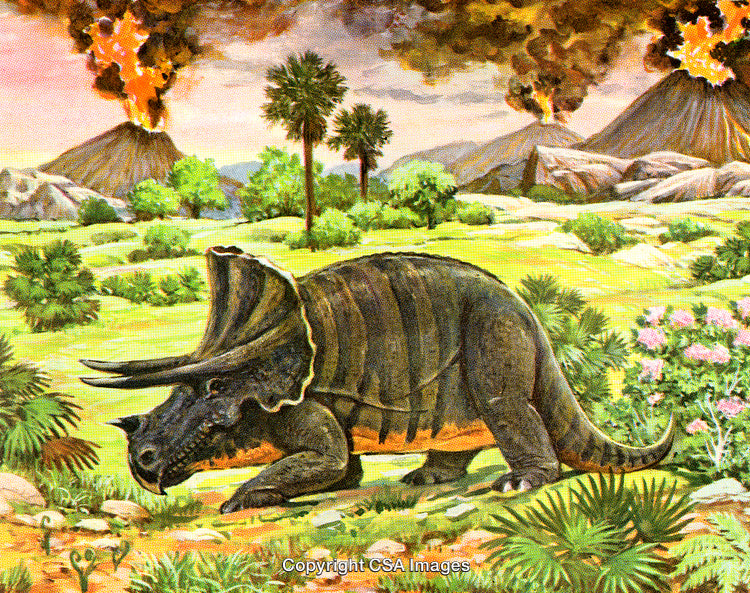 Triceratops Roaming Prehistoric Landscape With Volcanic Activity in the Background