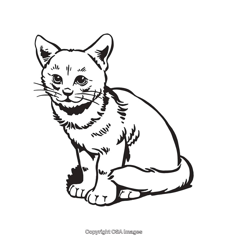 Black and White Line Art Cat Illustration with Detailed Features
