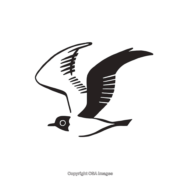 Black and White Line Art Illustration of a Simple Bird in Flight
