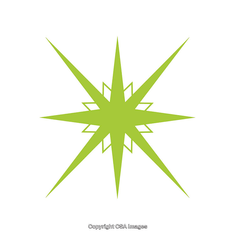Green Geometric Eight-Point Star Shape on White Background