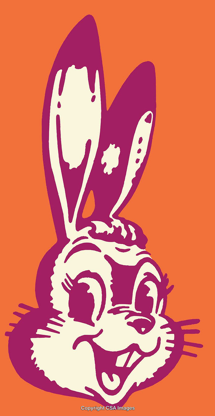 Vintage Stylized Rabbit Illustration in Orange and Purple Line Art