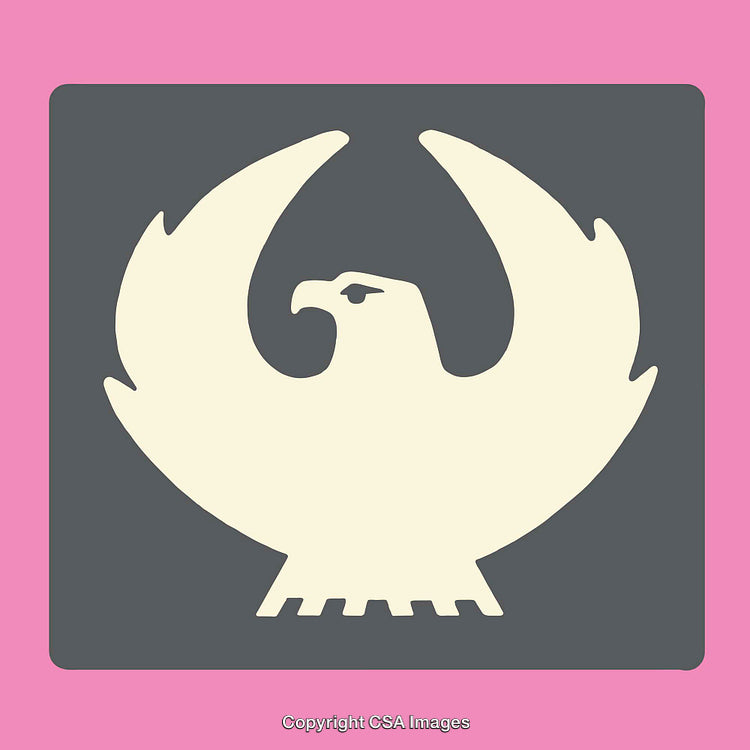 Minimalistic Eagle Design in Colorful Geometric Style