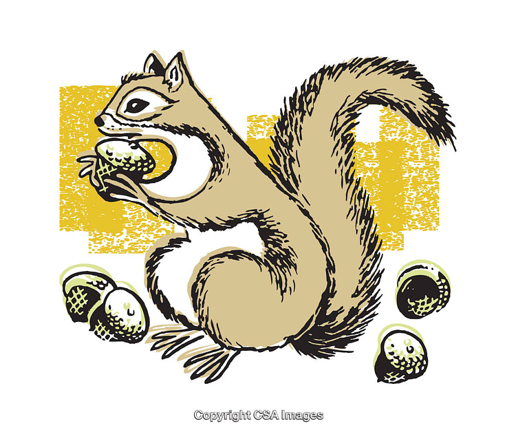 Illustrated Squirrel Eating Acorns With Artistic Yellow Background