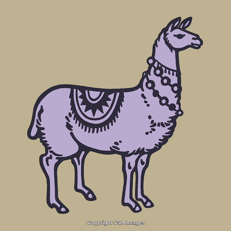 Artistic Illustration of a Decorated Llama in Pastel Color Scheme