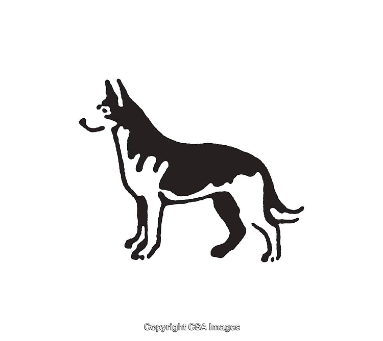 Black and White Line Art Illustration of a Dog in Profile
