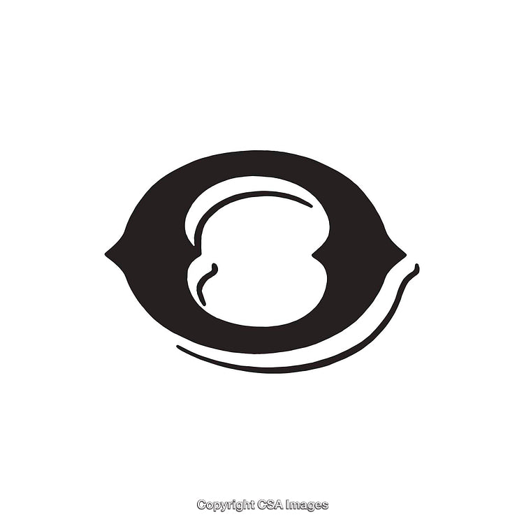 Minimalist Black and White Illustration Featuring the Letter O Design