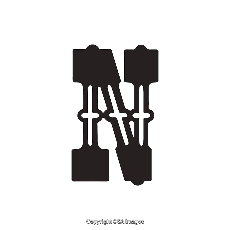 Bold Monochrome Letter N Design with Ornamental Elements