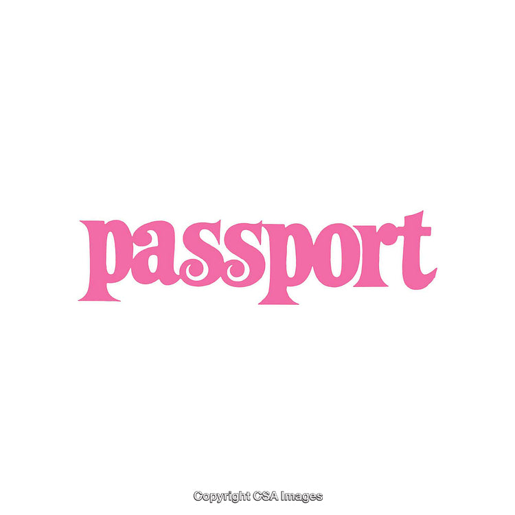 Pink Text Logo Featuring 'Passport' in Elegant Typography on White Background