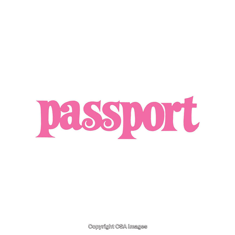 Pink Text Logo Featuring 'Passport' in Elegant Typography on White Background