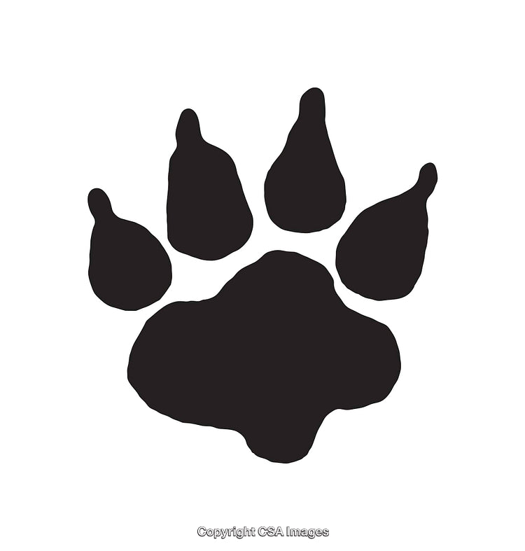 Simplistic Black Silhouette of a Paw Print Icon on White Background