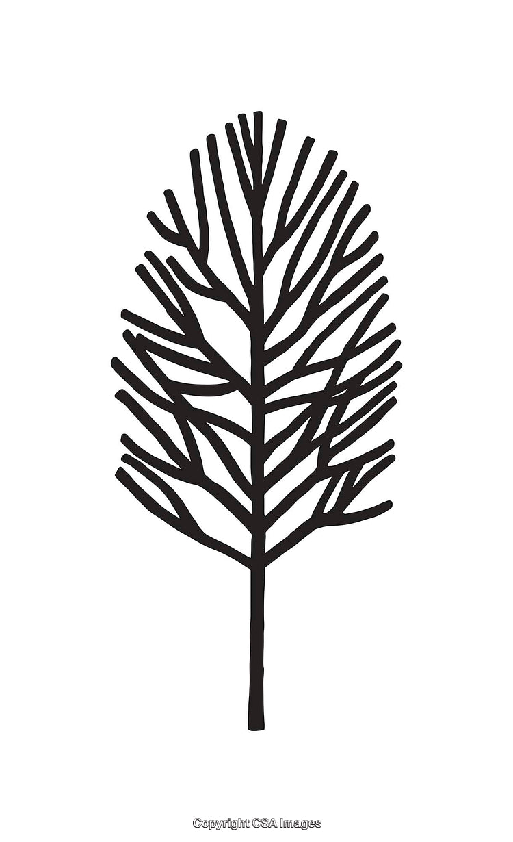 Abstract Black And White Line Art Depicting Simplistic Tree Illustration