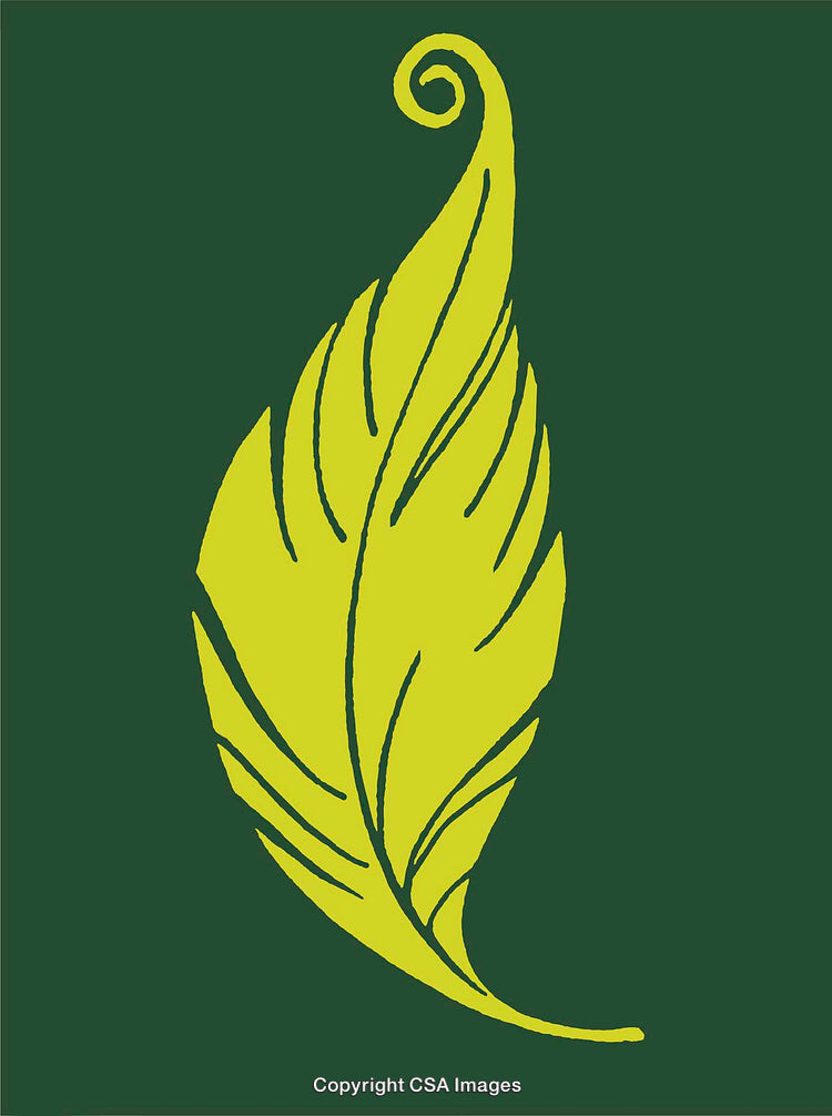 Bright Green Feather Illustration on a Deep Green Background