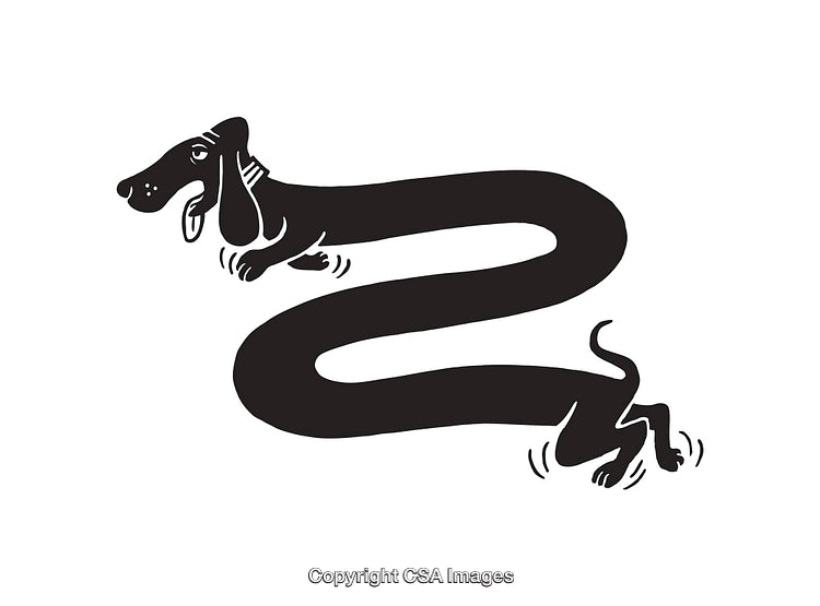 Creative Line Art Illustration of a Playful Stretching Dog