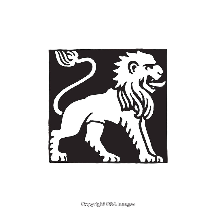 Lion Artwork in Black and White Line Art Illustration