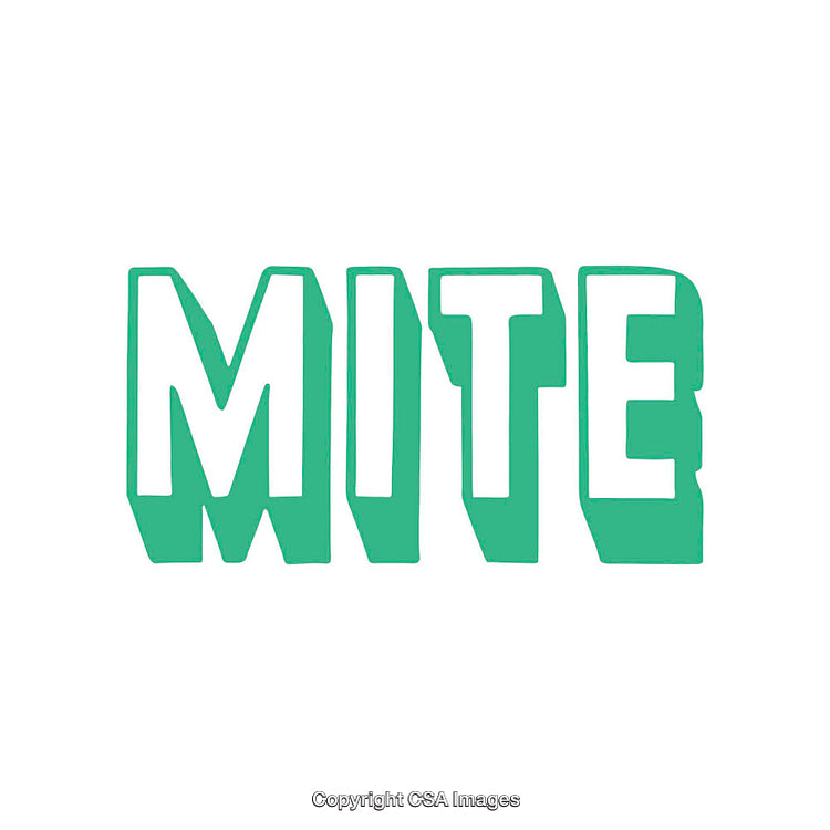 Bold Green Word 'Mite' with Unique Typography on White Background