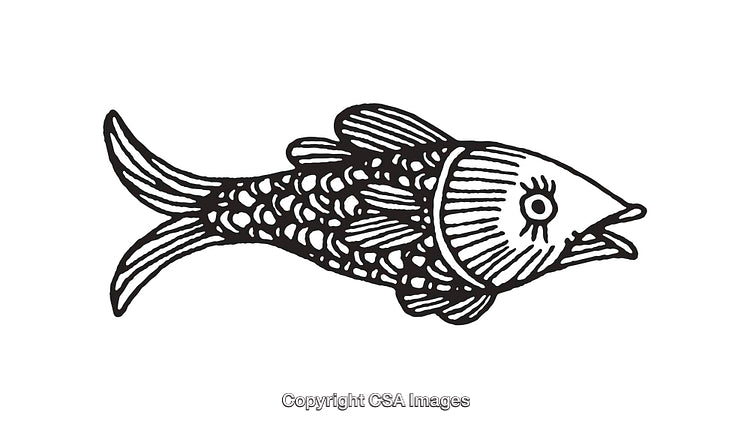 Black and White Line Art Illustration of a Decorative Fish Design