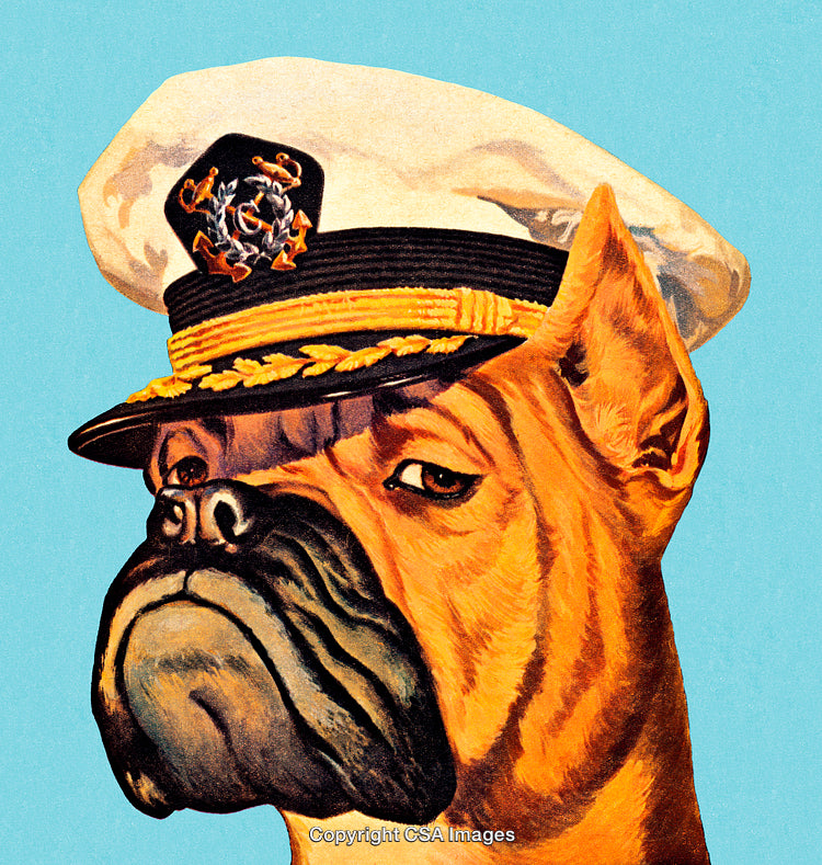 Cartoon Bulldog Wearing a Naval Captain's Hat on Blue Background