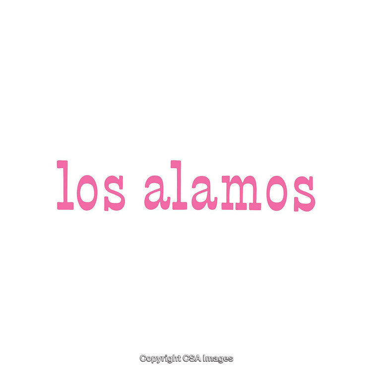 Minimalist Typography Artwork Featuring 'Los Alamos' in Bold Pink Text
