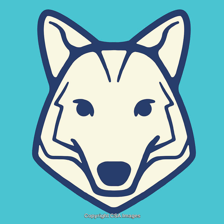 Stylized Line Art Illustration of a Wolf Face with Blue Background