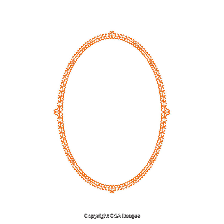 Decorative Oval Frame with Orange Spiral Design on White Background