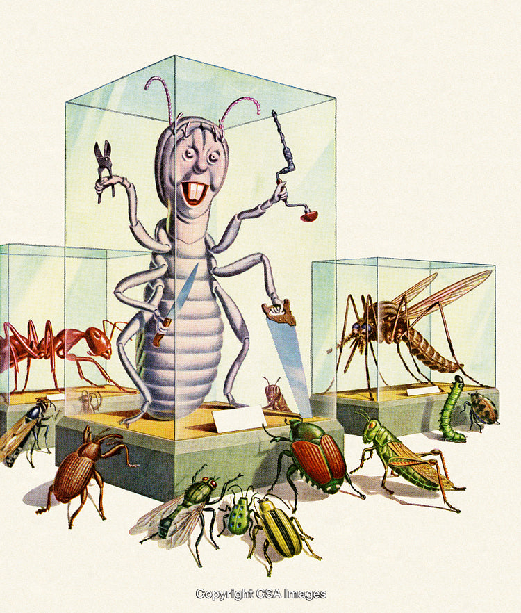 Whimsical Illustration of Insects Displayed in Glass Showcases Inside a Gallery