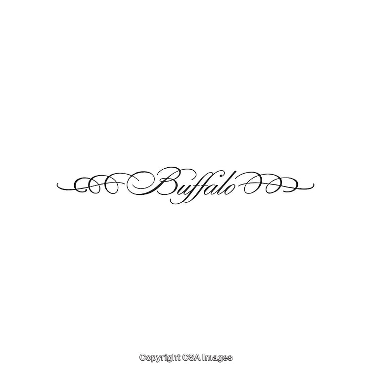 Elegant Calligraphy Design Featuring Ornamental Swirls and the Word Buffalo