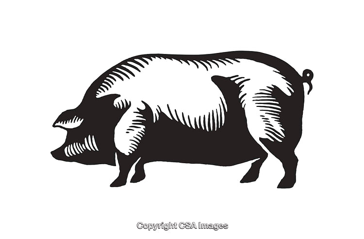Black and White Illustration of a Standing Pig Silhouette