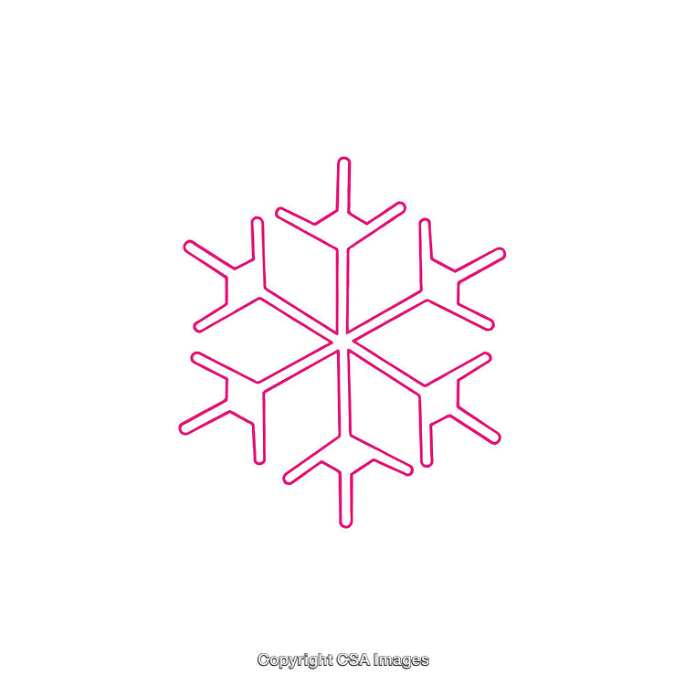 Pink Snowflake Dingbat Icon on a White Background
