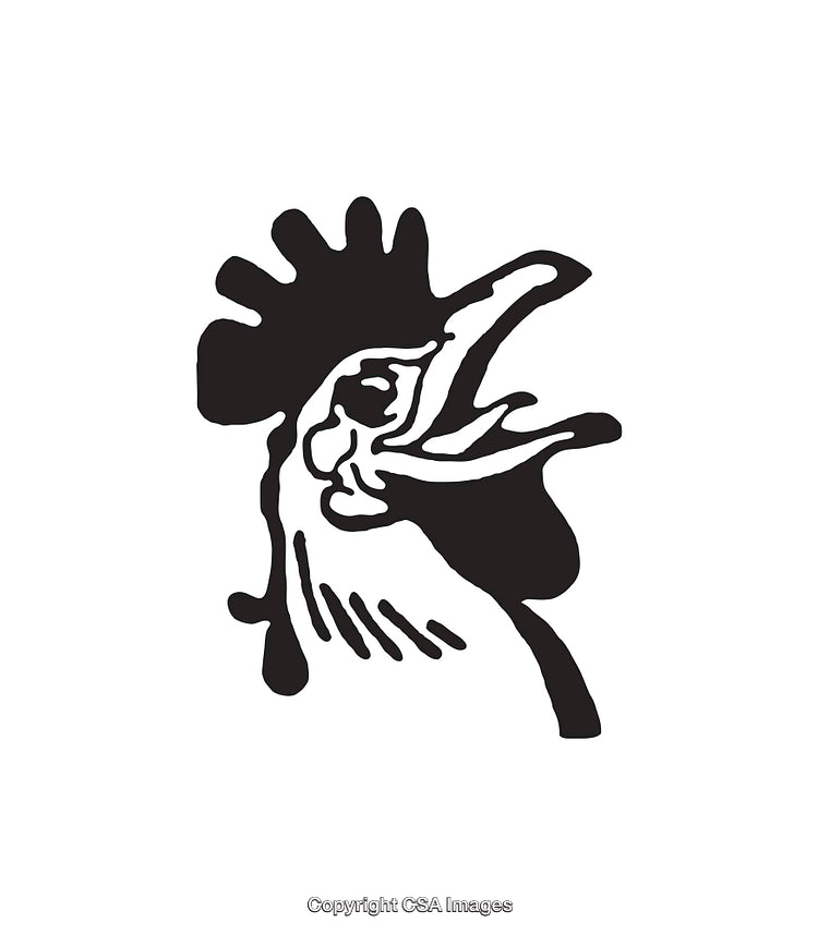 Black and White Line Art of a Rooster Illustration