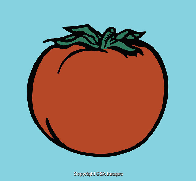 Minimalistic Line Art of a Tomato on a Blue Background