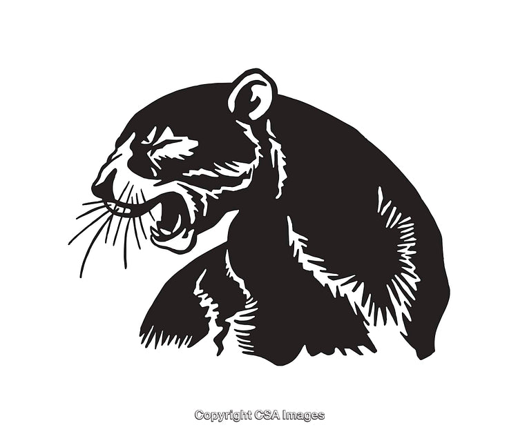 Black and White Illustration of a Roaring Panther in Mid Profile