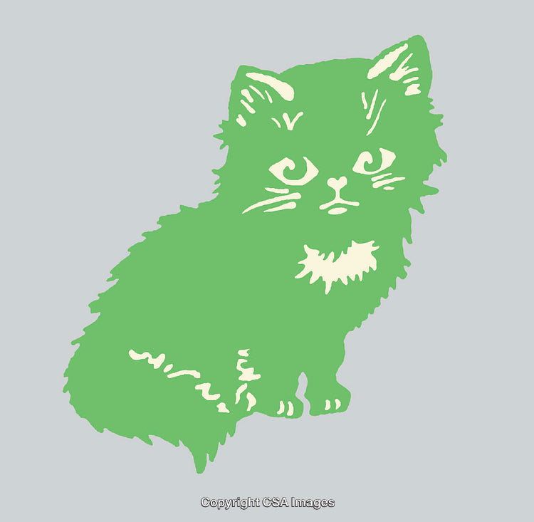 Colorful Line Art Illustration of a Cute Kitty on a Plain Background