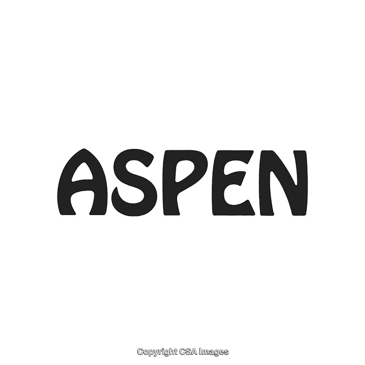 Bold and Playful Black Aspen Text Logo on White Background