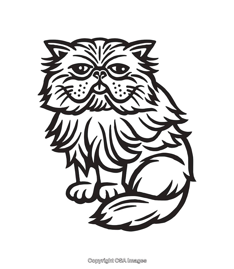 Black and White Line Art Illustration of a Fluffy Cat