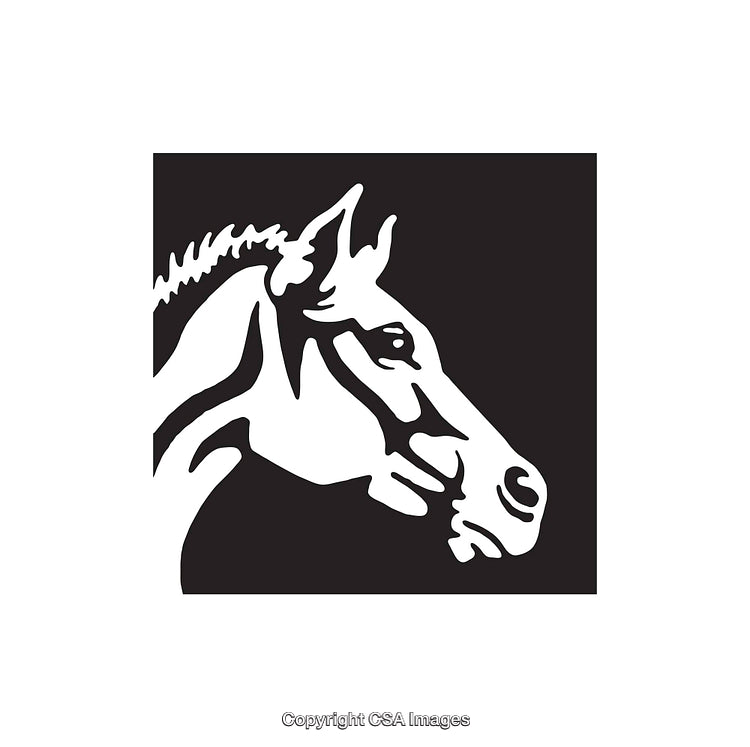 Black and White Line Art Illustration of a Horse Side Profile