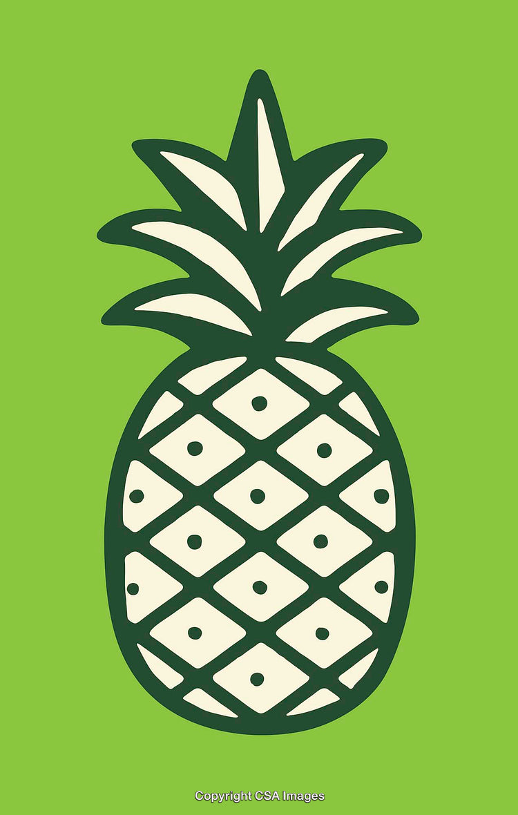 Minimalist Pineapple Illustration with Green Background and Bold Lines