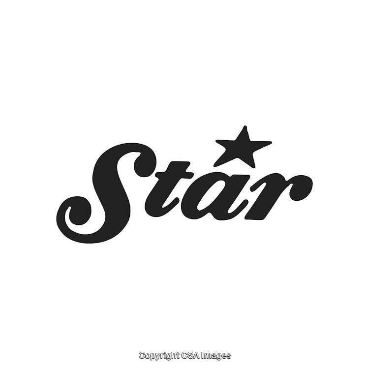 Stylized Black Star Typography with Decorative Symbol on White Background